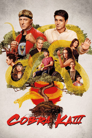  kobra, cobra Kai - Season 3 Poster