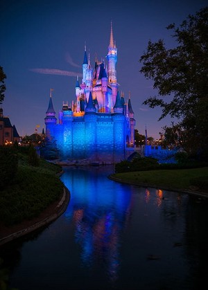  Disney World Magic Kingdom
