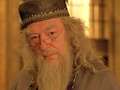 Dumbledore - harry-potter photo