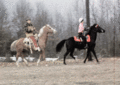 Elvis And Priscilla Horseback Riding - elvis-presley fan art