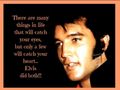 Elvis Tribute🧡 - elvis-presley fan art
