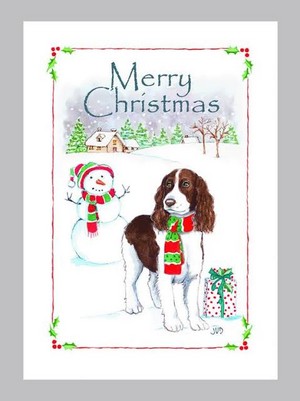  English Springer épagneul Christmas Card