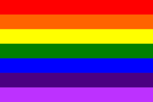  Gay pride flag