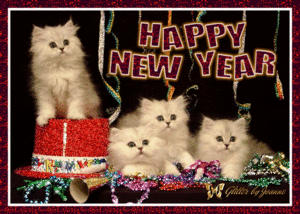 Happy New Jahr My Dear Sandra 🎈🎉