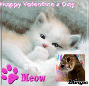  Happy Valentines Day...I meow Ты