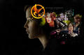 Katniss Everdeen Wallpaper - katniss-everdeen fan art
