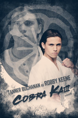  Robby Keene || kobra, cobra Kai || Season 3