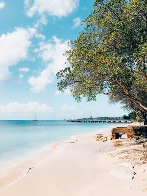  Speightstown, Barbados