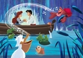 Walt Disney Images - The Little Mermaid - the-little-mermaid photo