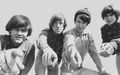 The Monkees Want You! - the-monkees photo