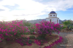 Valle de Guadalupe, Baja California