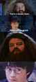 Harry & Hagrid meme - harry-potter photo