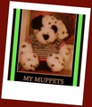 my muppets - sam-sparro fan art