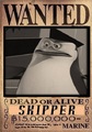 skipper - penguins-of-madagascar photo
