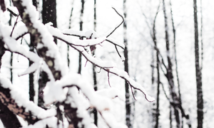  winter ❄️