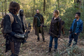 10x17 ~ Home Sweet Home ~ Daryl, Kelly, Maggie, Elijah and Cole - the-walking-dead photo