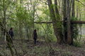 10x17 ~ Home Sweet Home ~ Daryl, Maggie and Hershel - the-walking-dead photo