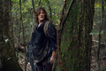 10x17 ~ Home Sweet Home ~ Daryl - the-walking-dead photo