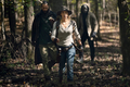 10x17 ~ Home Sweet Home ~ Maggie, Elijah and Cole - the-walking-dead photo