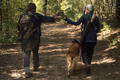 10x21 ~ Diverged ~ Carol and Daryl - the-walking-dead photo