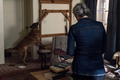 10x21 ~ Diverged ~ Carol and Dog - the-walking-dead photo