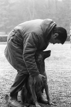  Alain Delon and His Dog 💙