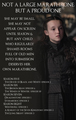 Alternate Iron Anniversary MaraThrone: Not A Large MaraThrone, But A Proud One [Lyanna Mormont] - game-of-thrones fan art