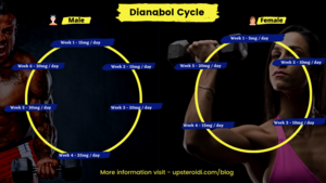  Dianabol steroid cycle for man and women.