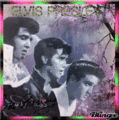 Elvis Gif 🧡 - elvis-presley fan art