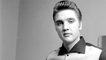 elvis-presley - Elvis Presley wallpaper
