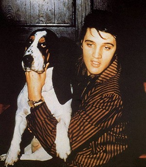  Elvis With Anjing 💛