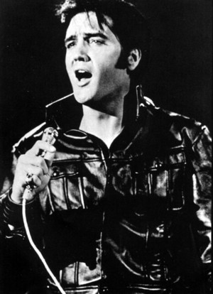  Elvis 🌹