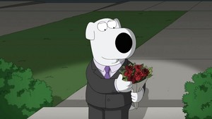  Family Guy ~ 19x11 "Boy's Best Friend"
