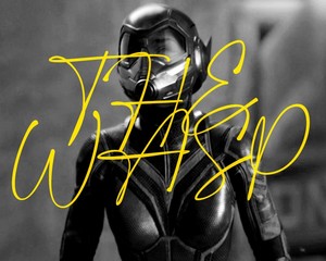 Hope Van Dyne || The Wasp