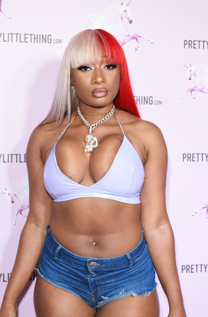  Megan Thee Stallion - Hot And Sexy