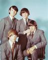 Monkees - the-monkees photo
