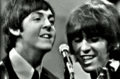 Paul and George  - the-beatles fan art