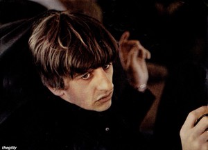  Ringo