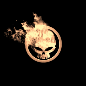  Skull in Flames