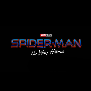 Spider-Man 3 is officially titled Spider-Man: No Way Home 