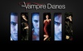 The Vampire Diaries Wallpaper  - the-vampire-diaries photo