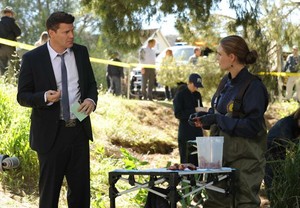 9x21 "The Cold in the Case"