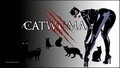 dc-comics - Cat Woman 1a wallpaper