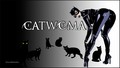 dc-comics - Cat Woman 2 wallpaper