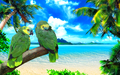 animals - Parrot wallpaper