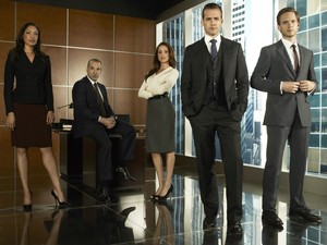  Suits – Avocats sur Mesure Season 1 Cast