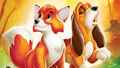 classic-disney - The Fox and the Hound wallpaper