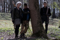 11x03 ~ Hunted ~ Carol, Kelly and Magna - the-walking-dead photo