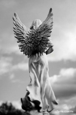  Angel – Jäger der Finsternis Art