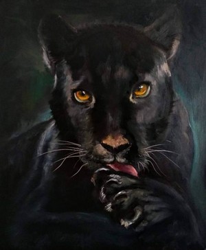  Black harimau kumbang, panther